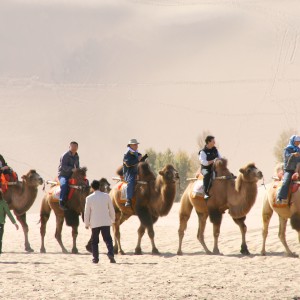 Camel riding near Dunhuang