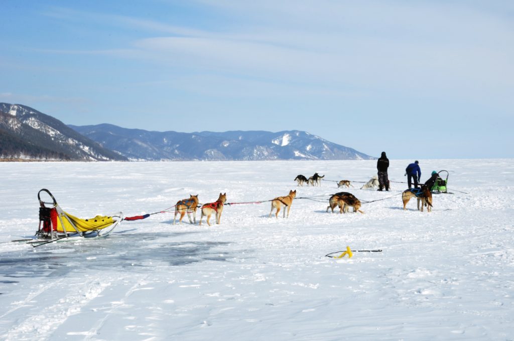 Dog sledging on Lake Baikal, Russia